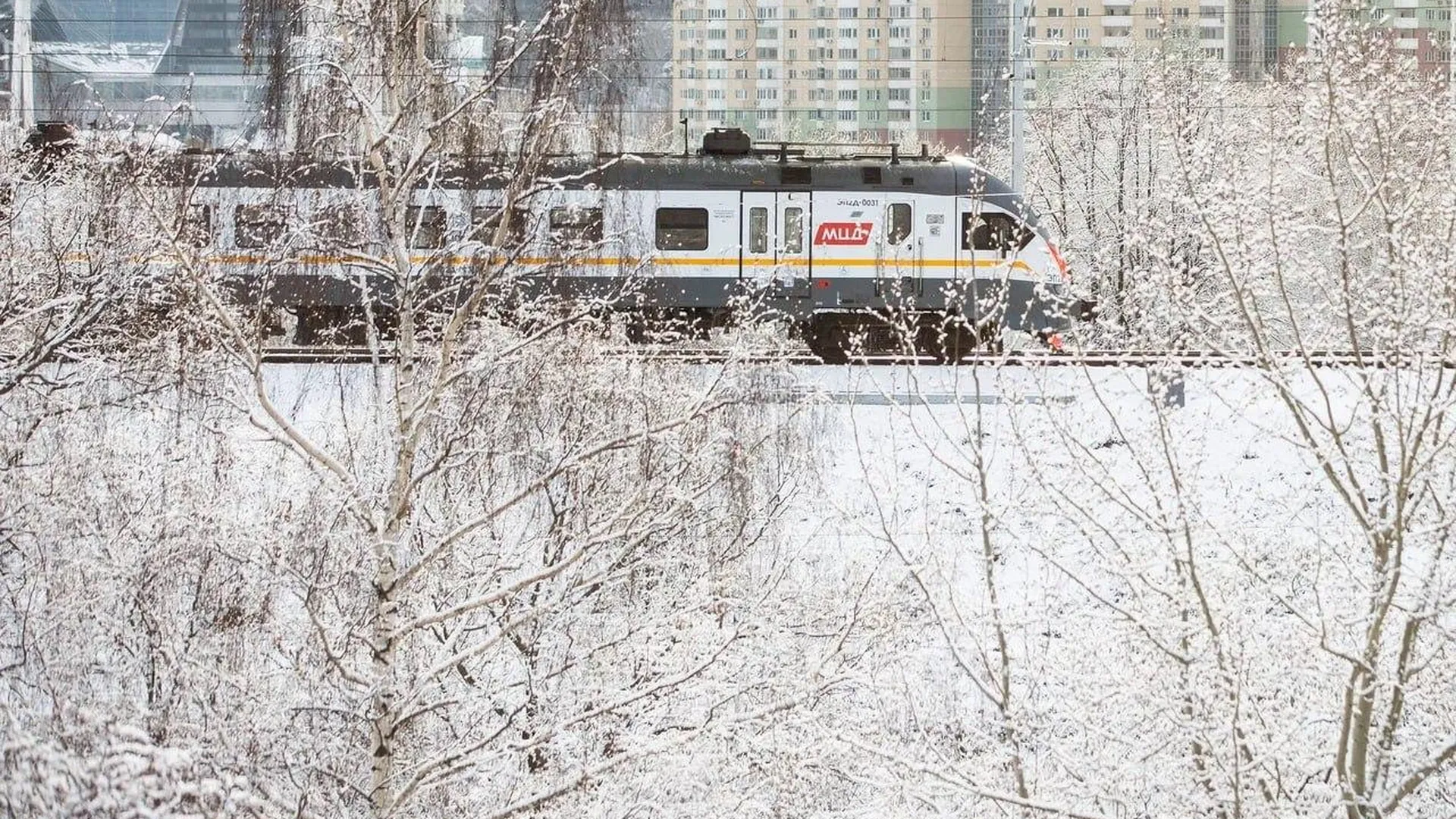 Бесплатно круглый год могут теперь провозить зимний спортинвентарь пассажиры любых поездов
