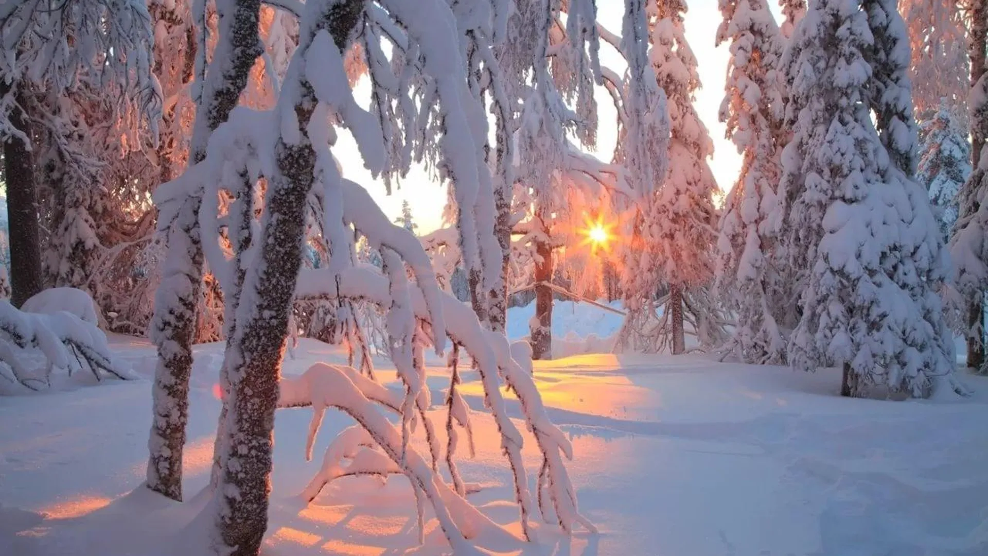 Теплая снежная зима. Сказочный зимний лес. Сказочная зима. Зимняя красота. Зимняя сказка.