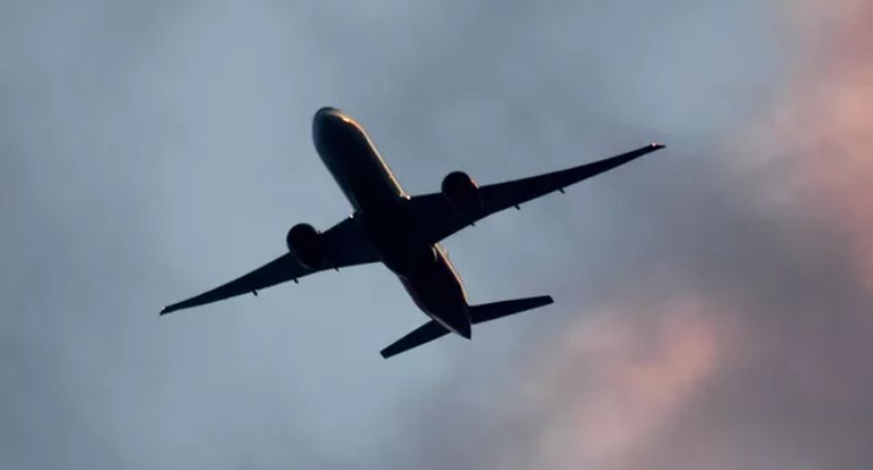 Shot: рейс Turkish Airlines вернулся во Внуково из-за криков и танцев пассажира