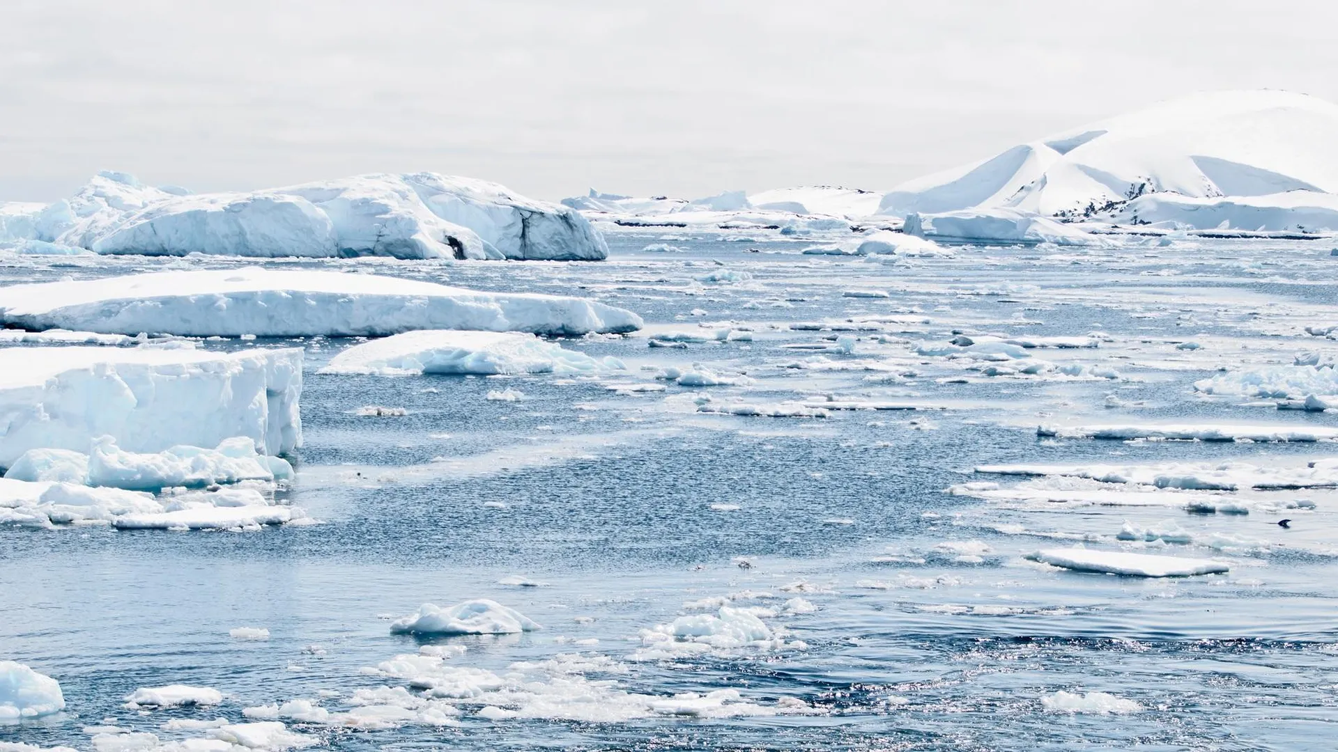 Таяние ледников 2022. Льды Северного Ледовитого океана. Арктический климат. Арктические моря.