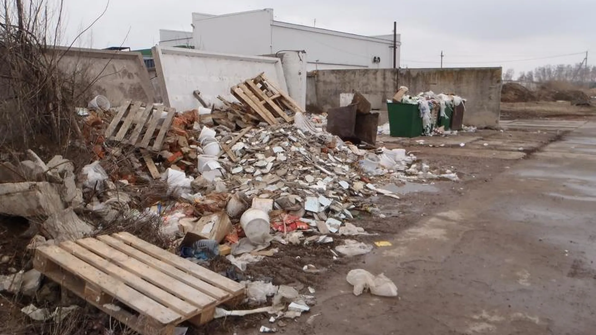 Десять свалок мусора ликвидировали в Коломенском районе