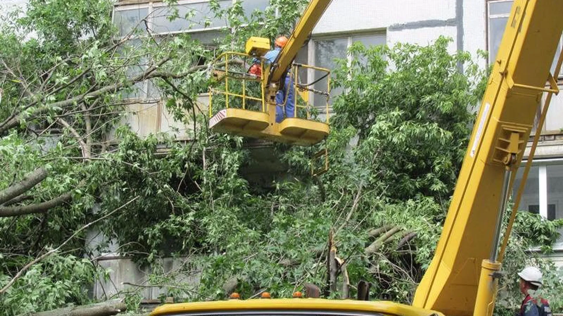 Полторы тысячи человек помогали ликвидировать последствия урагана в Люберцах