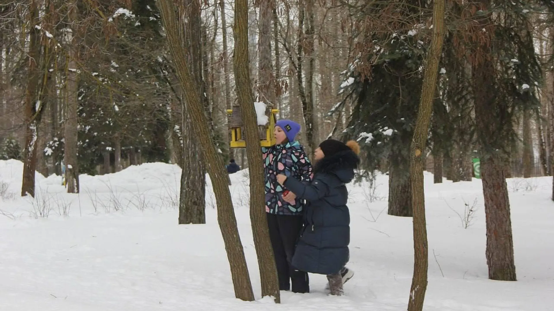 Акция «Покорми птиц зимой» прошла в парках Воскресенска