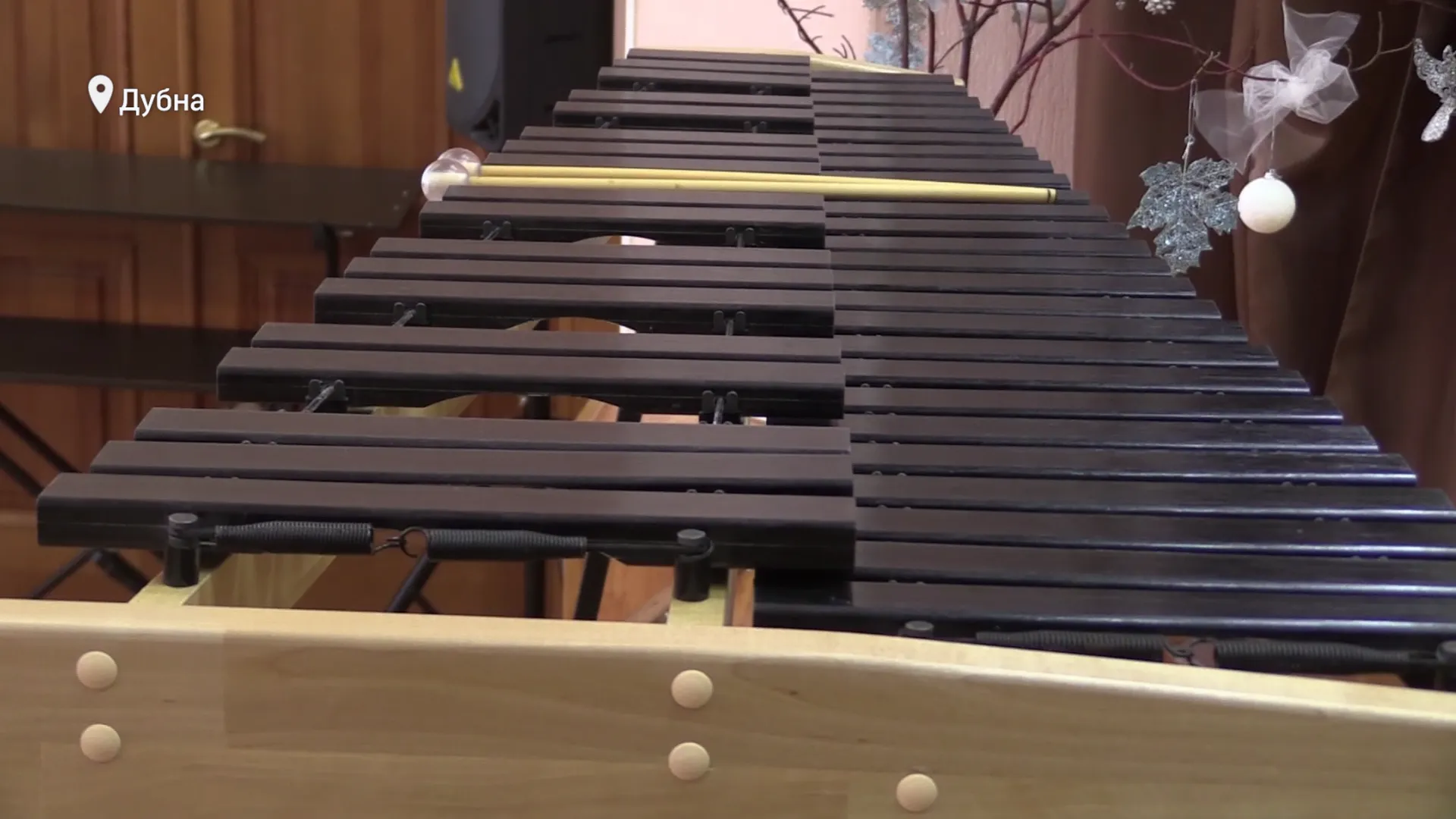 Новый ксилофон подарили музыкальной школе Дубны. Занятия начнутся с 1 сентября