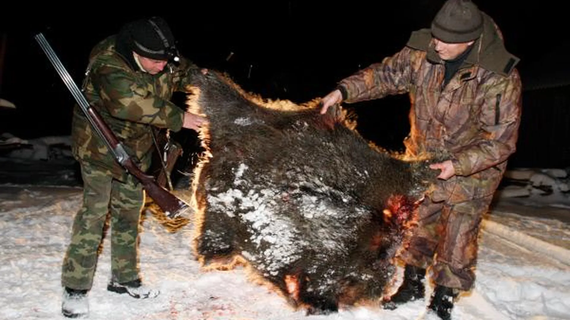Более 500 охотников-нарушителей поймали в Подмосковье в 2015 г