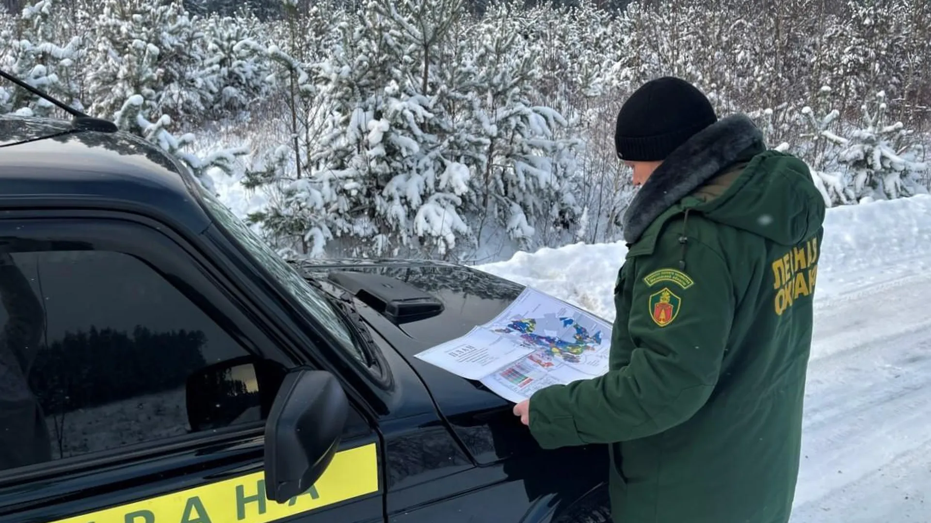 Маршруты патрулирования лесничеств на этот год утвердили в Московской области