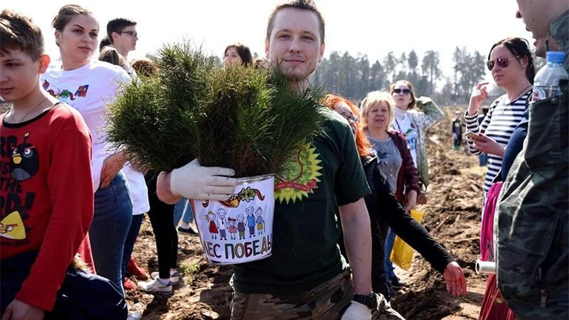 Активист из Балашихи очистил четыре гектара леса и посадил тысячу деревьев