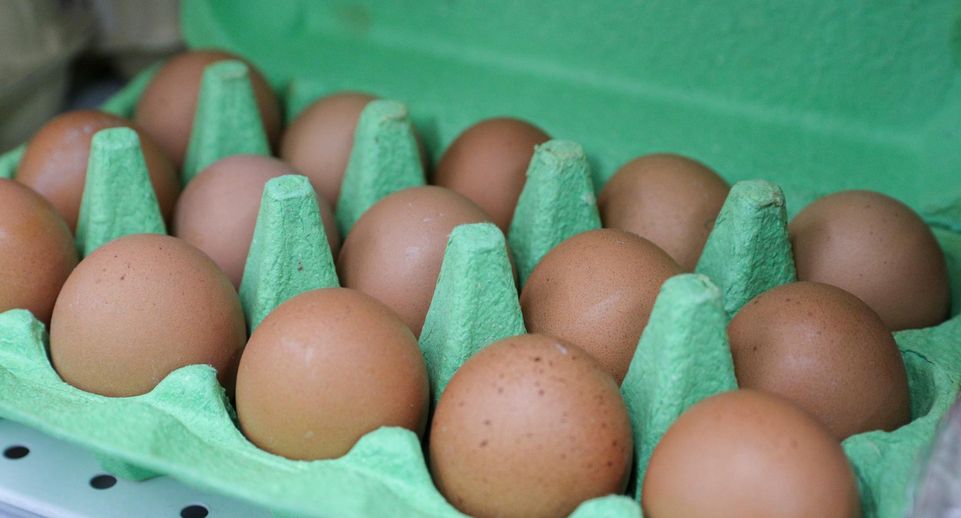 «Подъем»: вологодский депутат Гордеев подарил коллегам яйца на Новый год