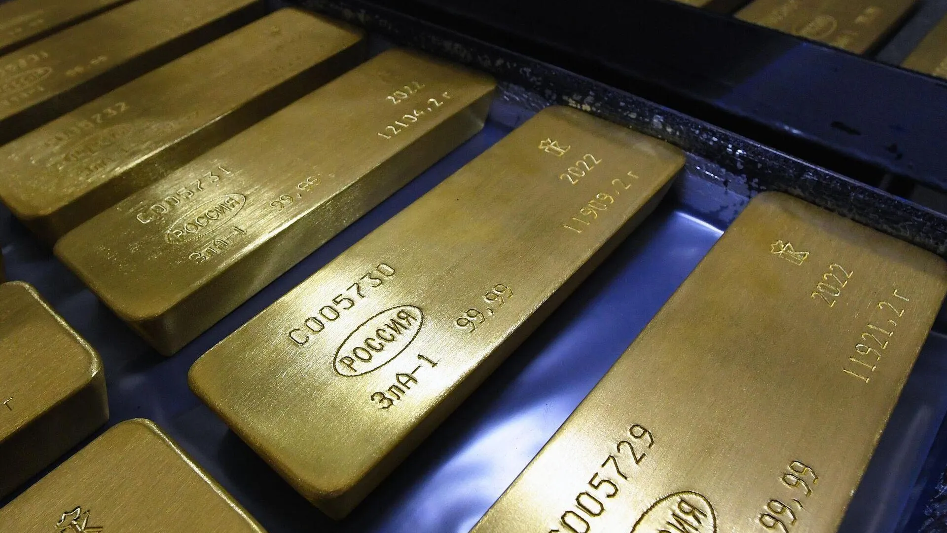 Контрабандисту, пытавшемуся вывезти из РФ 25 золотых слитков, вынесли приговор