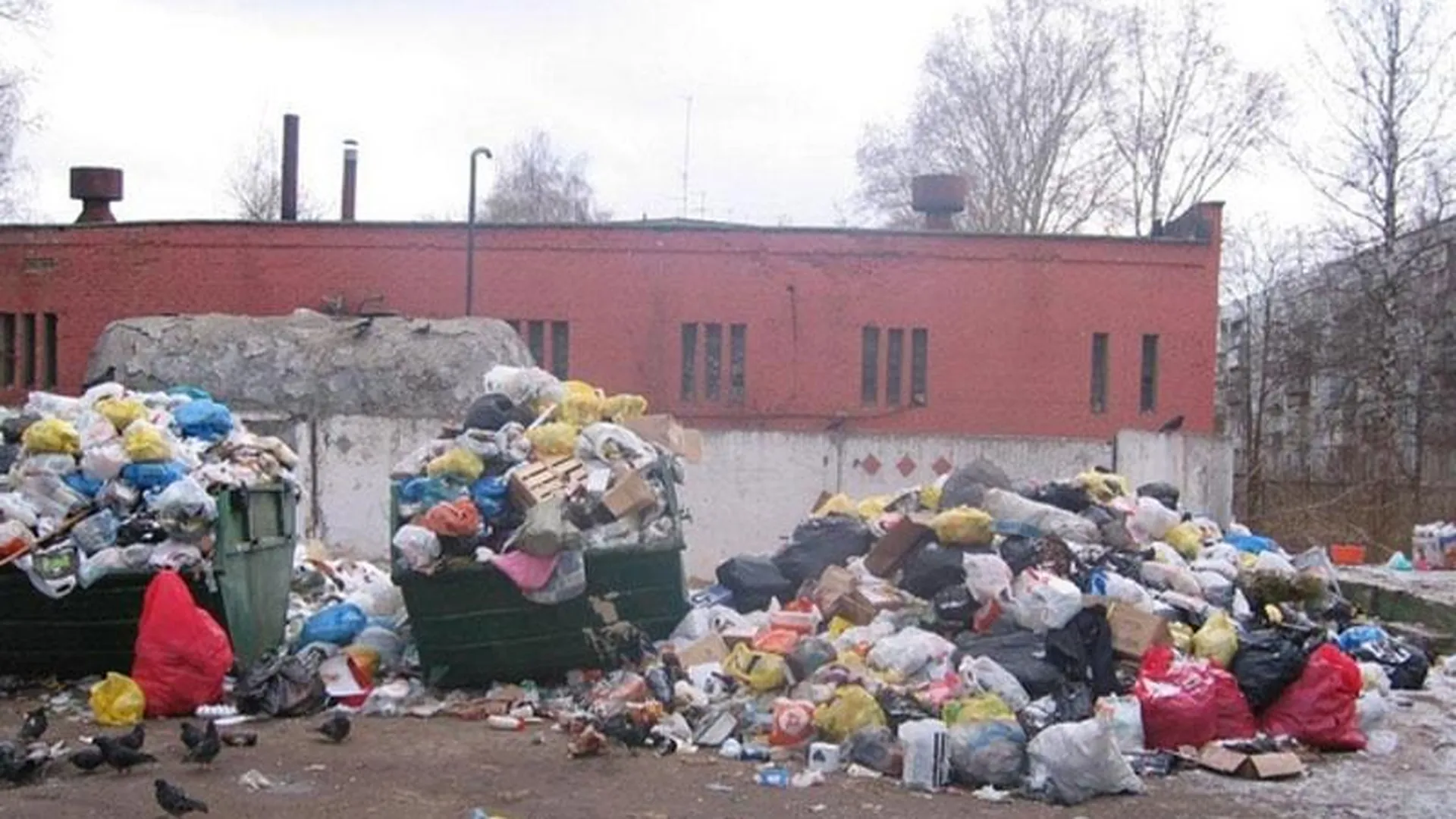 В Щелкове из-за забастовки не вывозится мусор