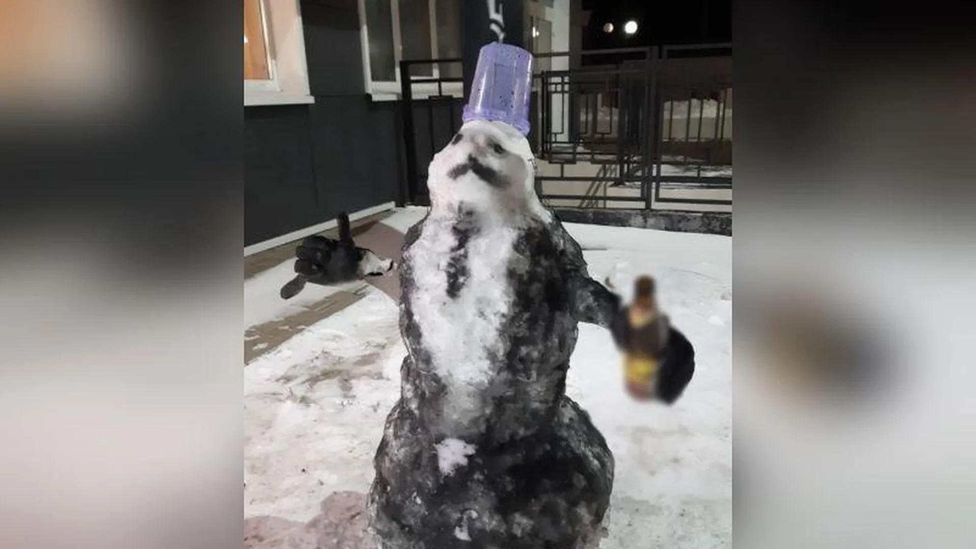 Снеговик непривычного цвета удивил жителей Одинцово