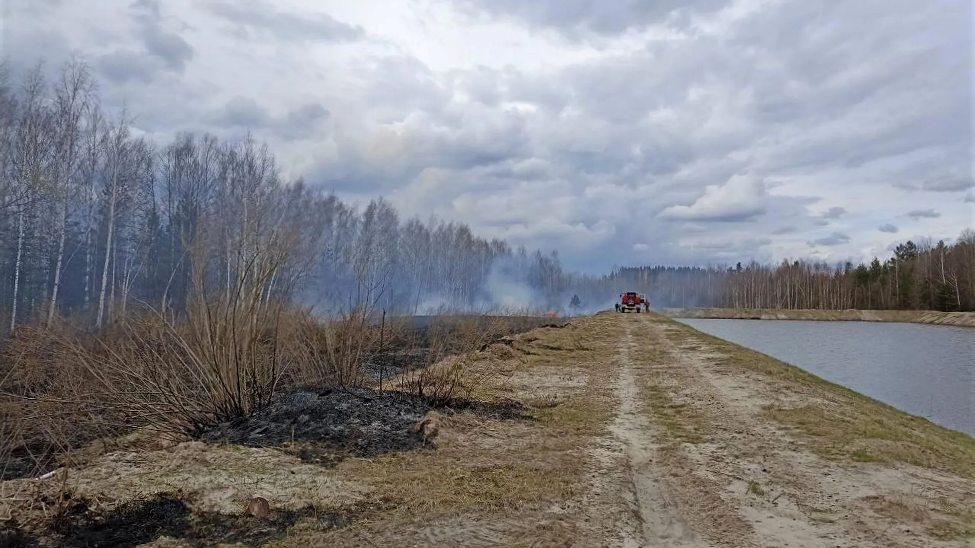 Первые лесные пожары произошли в Московской области