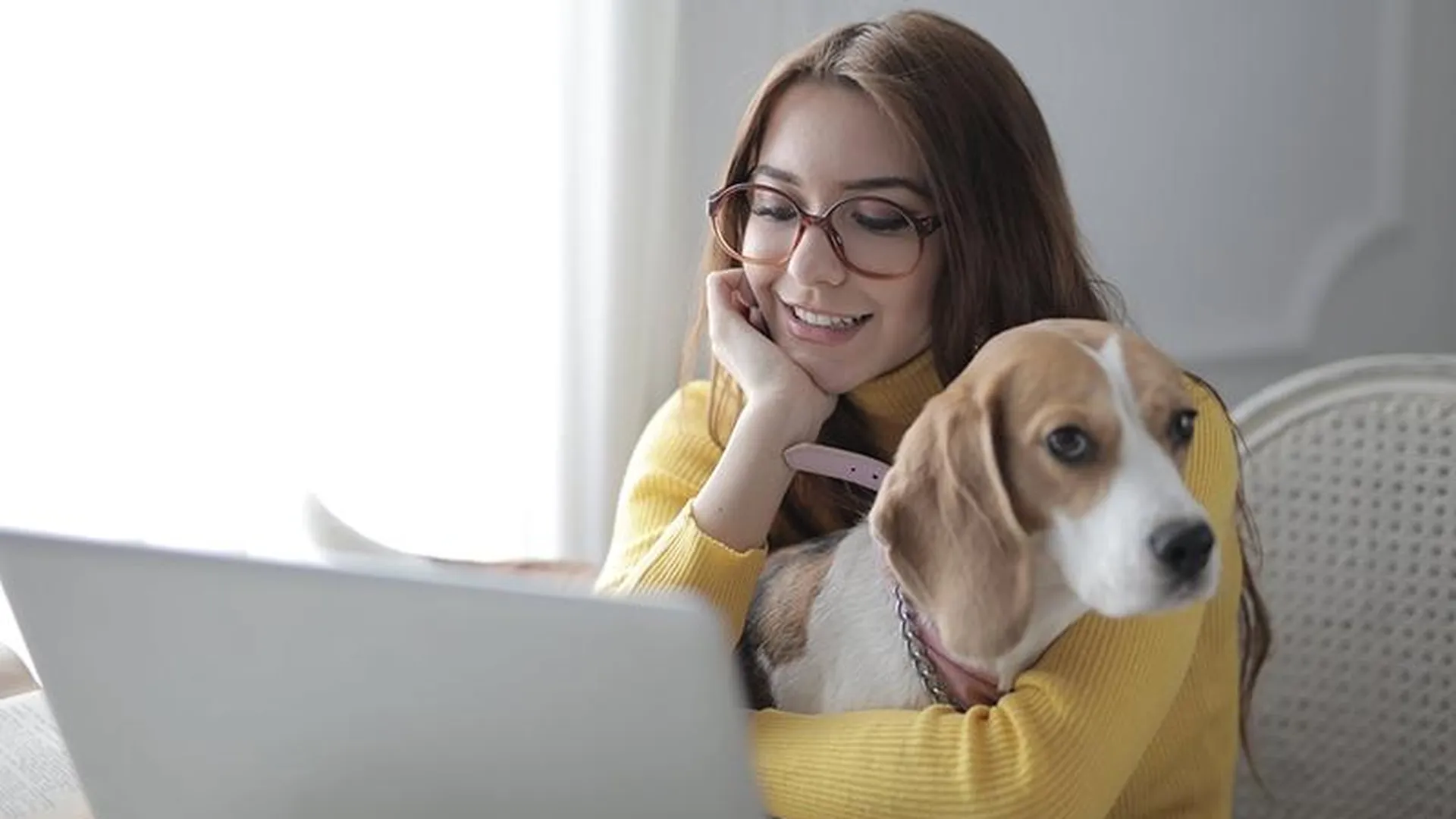 Ветслужба Московской области проводит онлайн-консультации для владельцев домашних животных