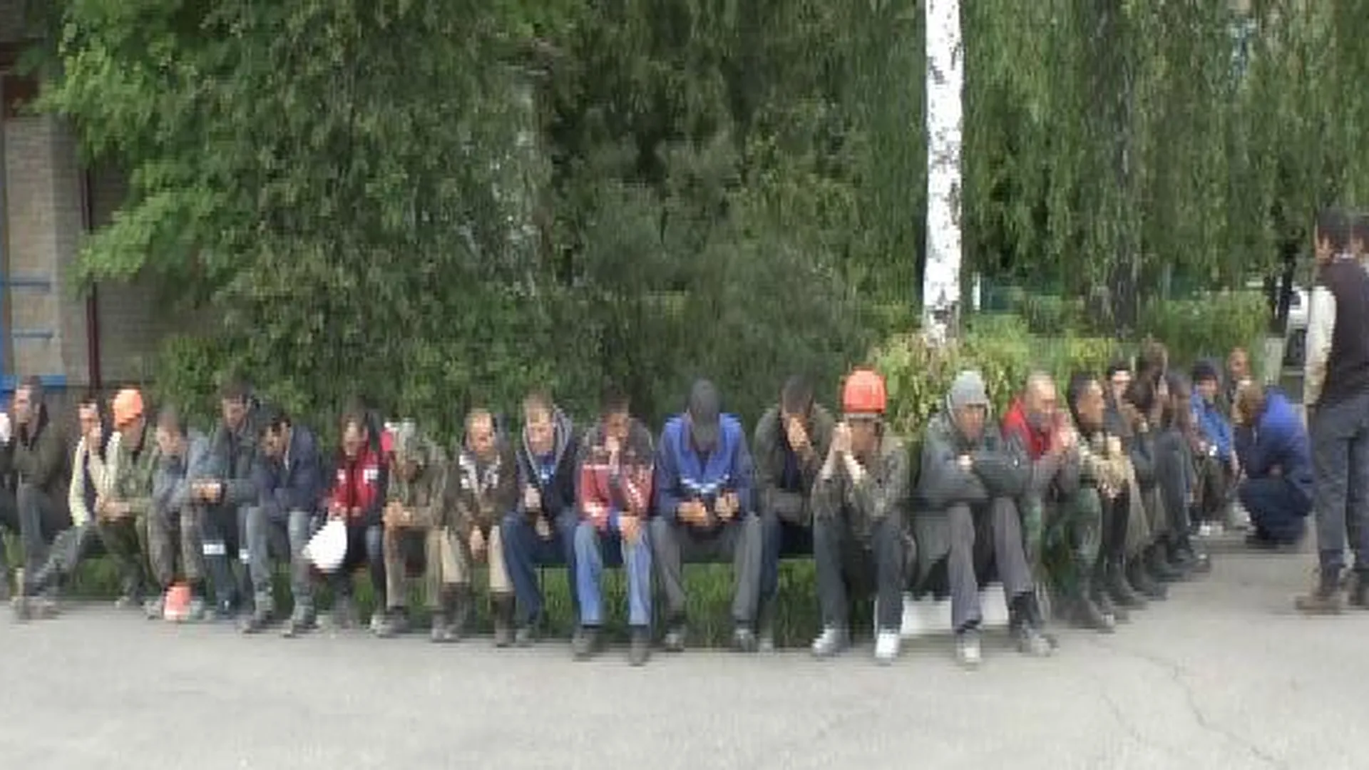 Мигранты-овощеводы и нелегалы-строители задержаны в ходе рейда в Подольске 