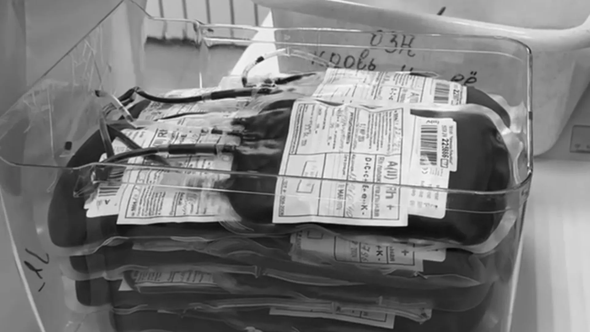 Более 600 человек сдали кровь за первый час работы центров Подмосковья