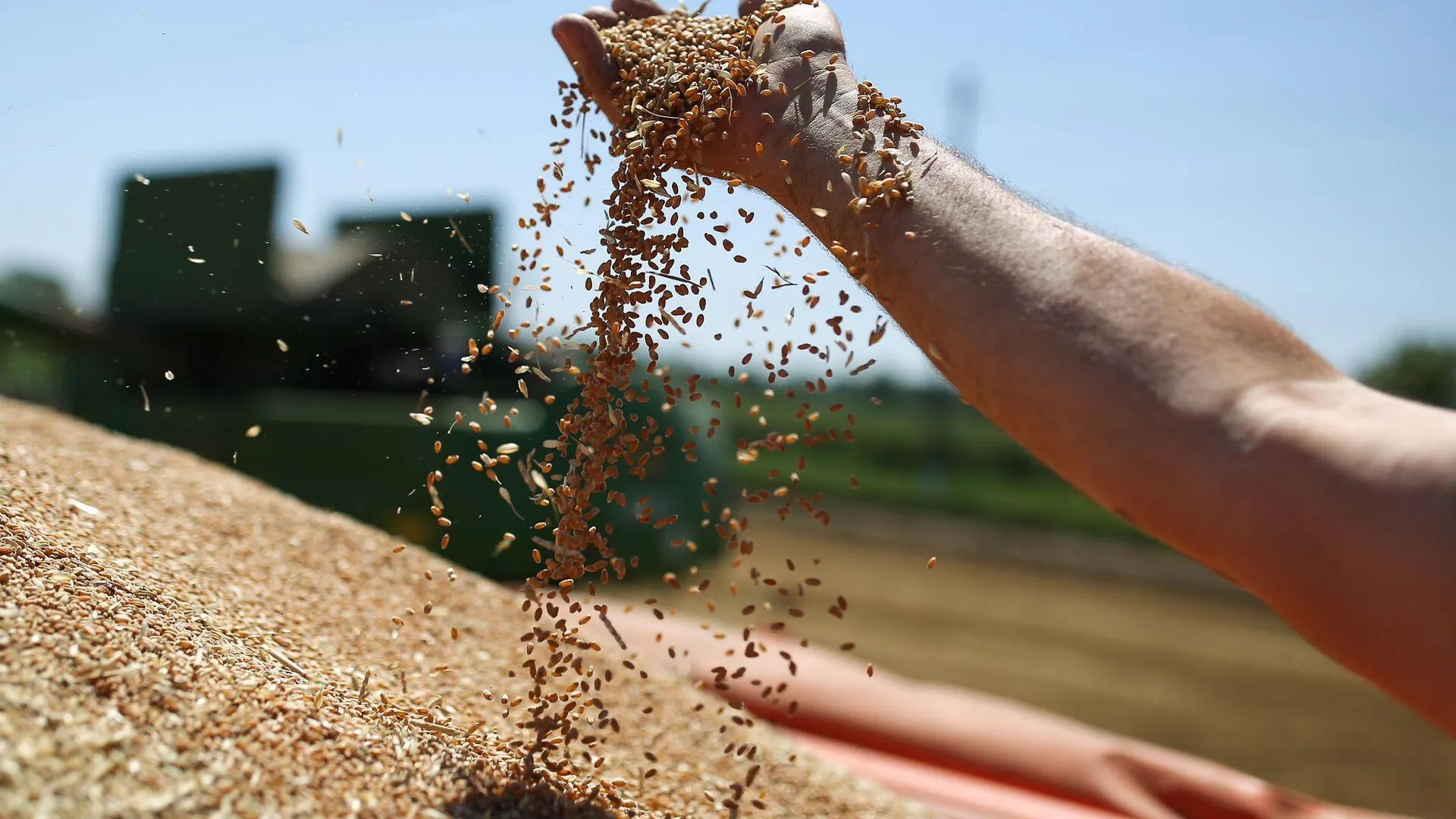 Депутаты стран G20 призвали к возвращению зерновой сделки
