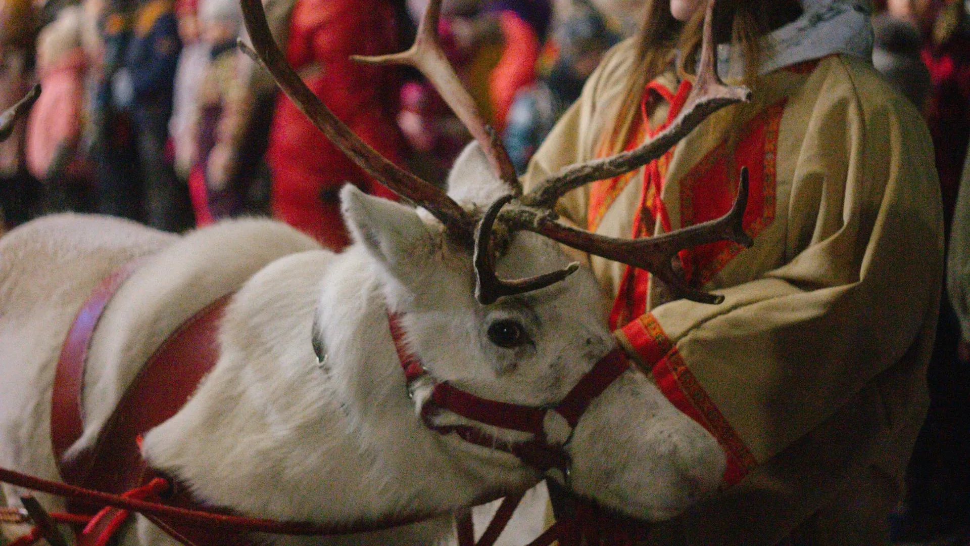 Жителей Подмосковья приглашают в парки на зимние сказочные фестивали