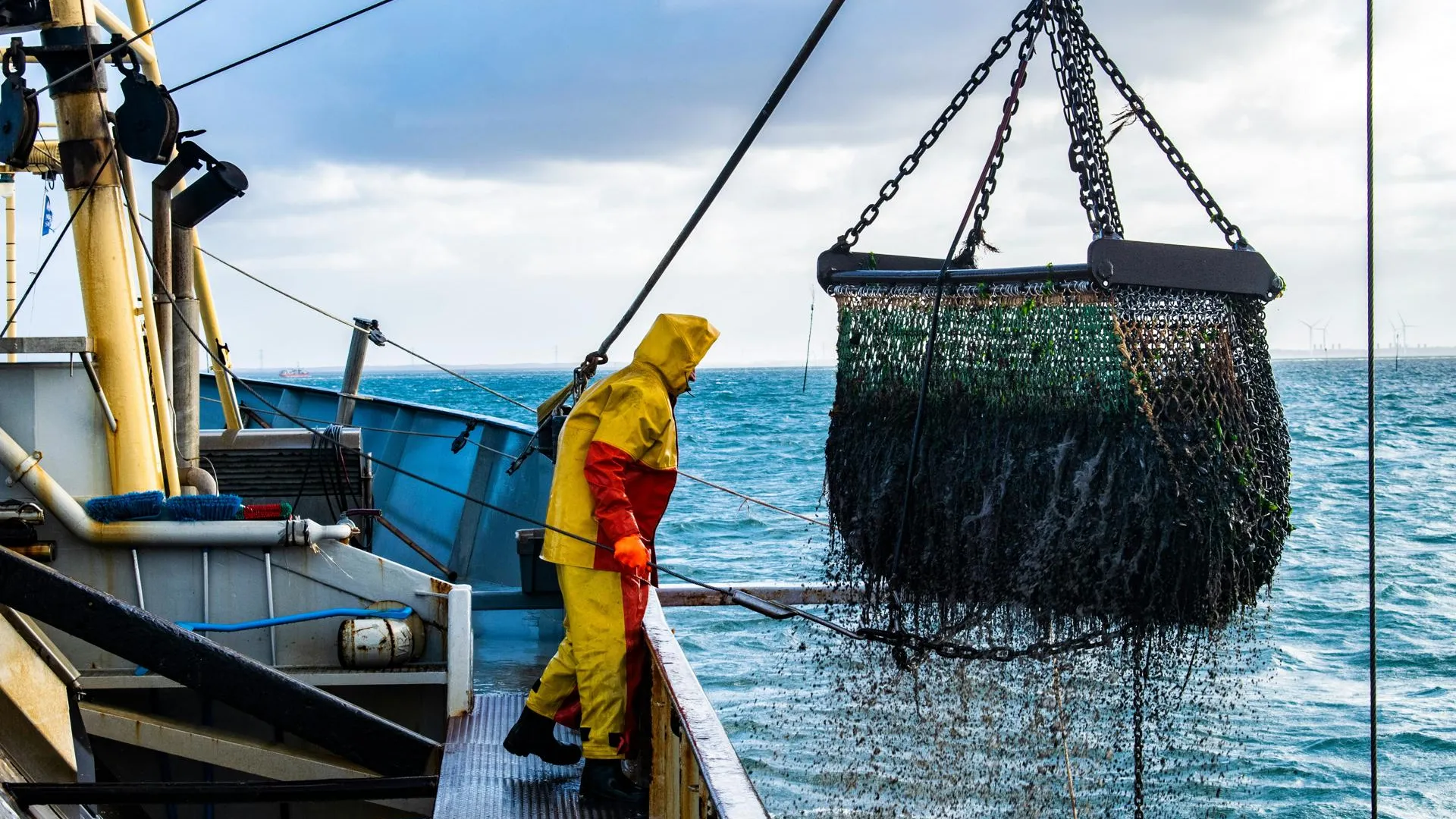 Госдума запретила Британии ловить рыбу в российской зоне Баренцева моря