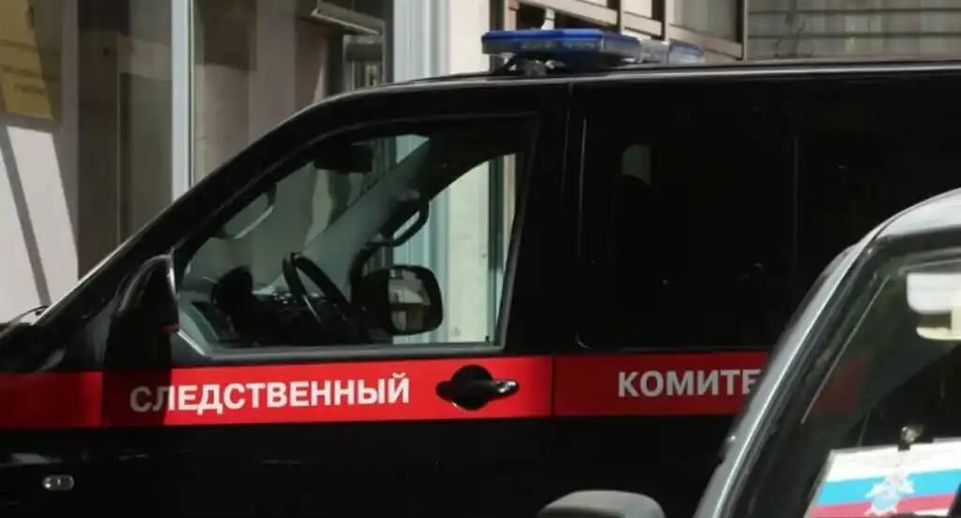 СК: студент из Москвы изнасиловал школьницу, а потом зарезал ее в Подольске