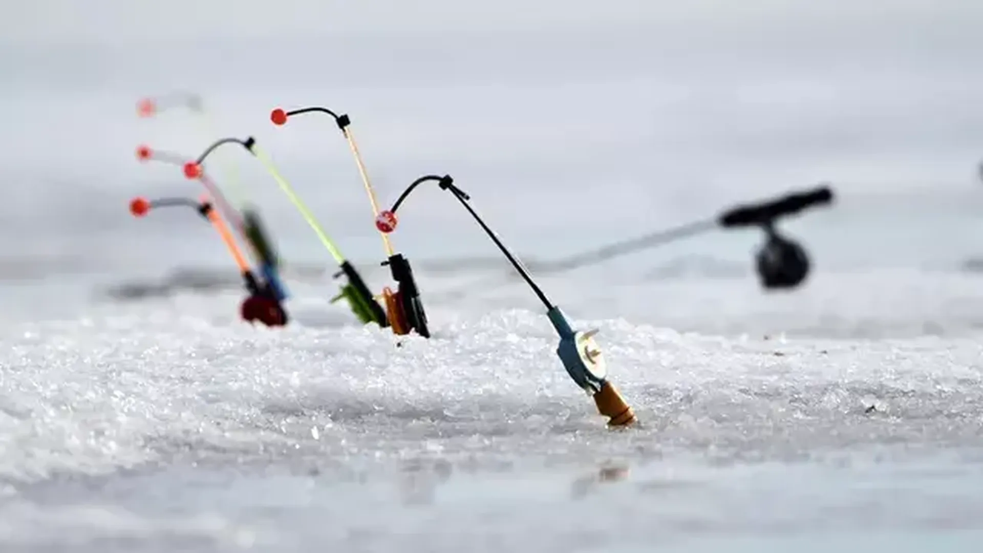 На Сахалине от берега оторвалась льдина с 20 рыбаками