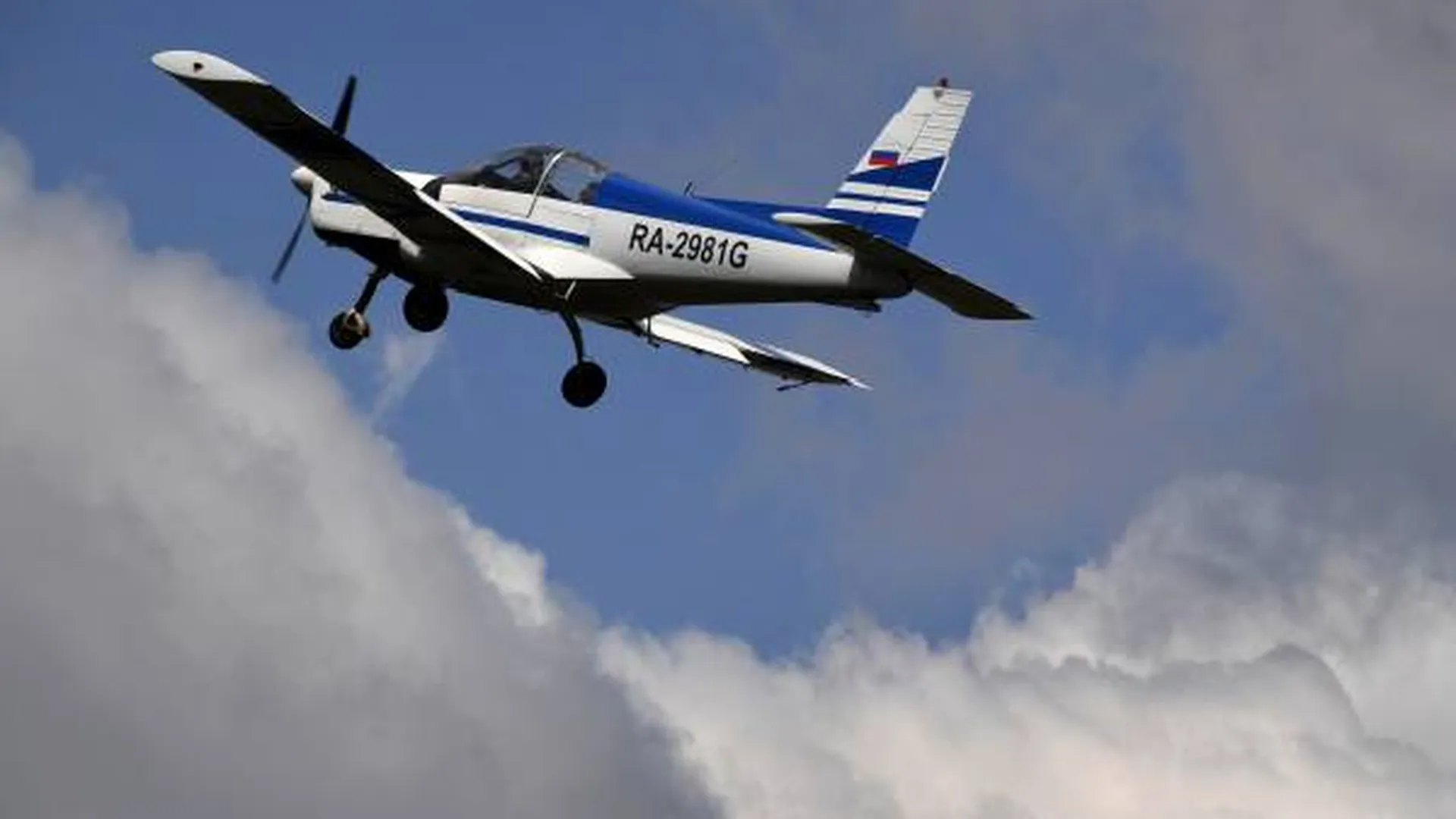 Легкомоторный самолет при посадке под Рязанью оставил без света два поселка
