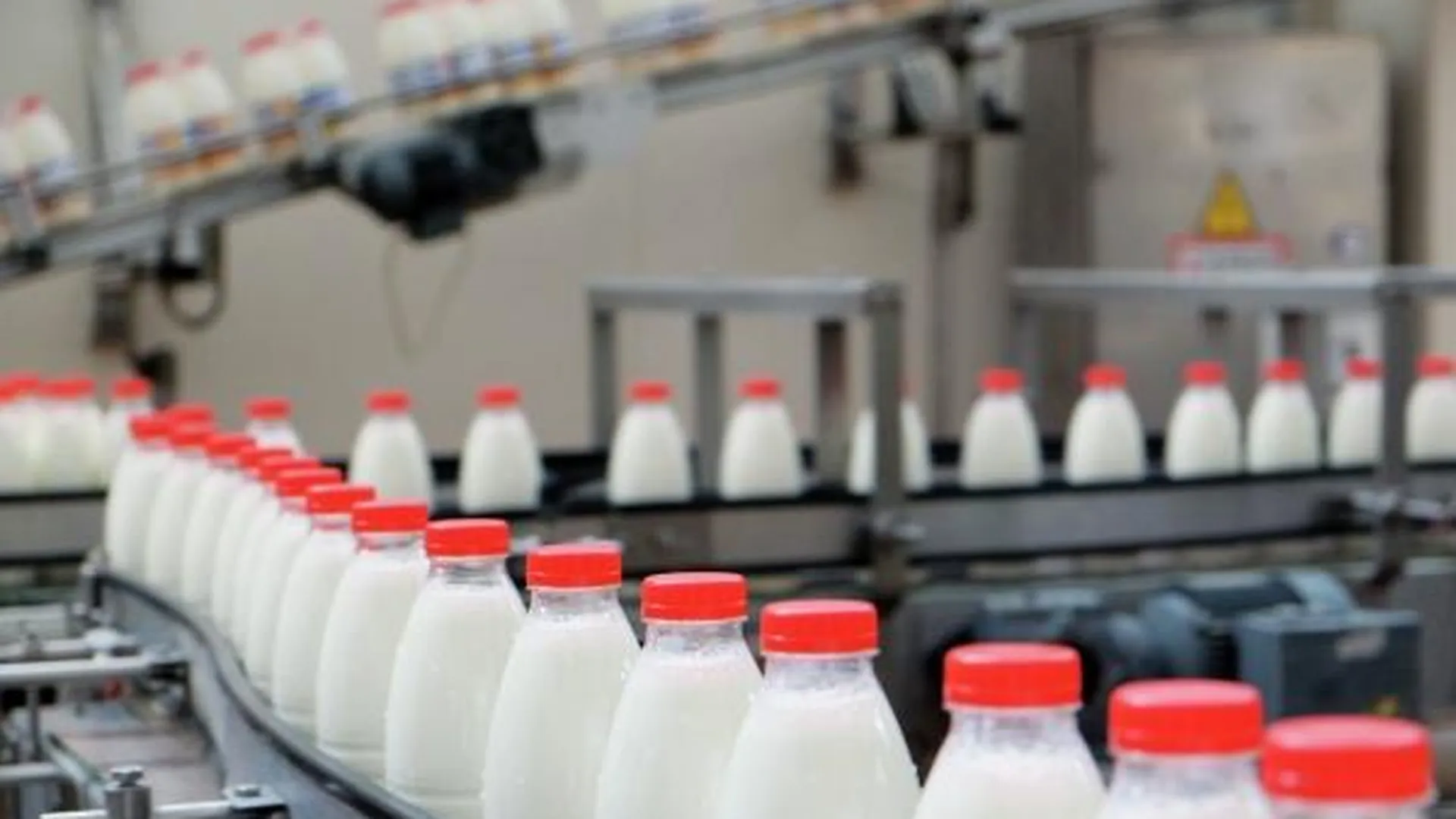 В течение 3 – 4 лет Подмосковье может стать лидером по производству молока