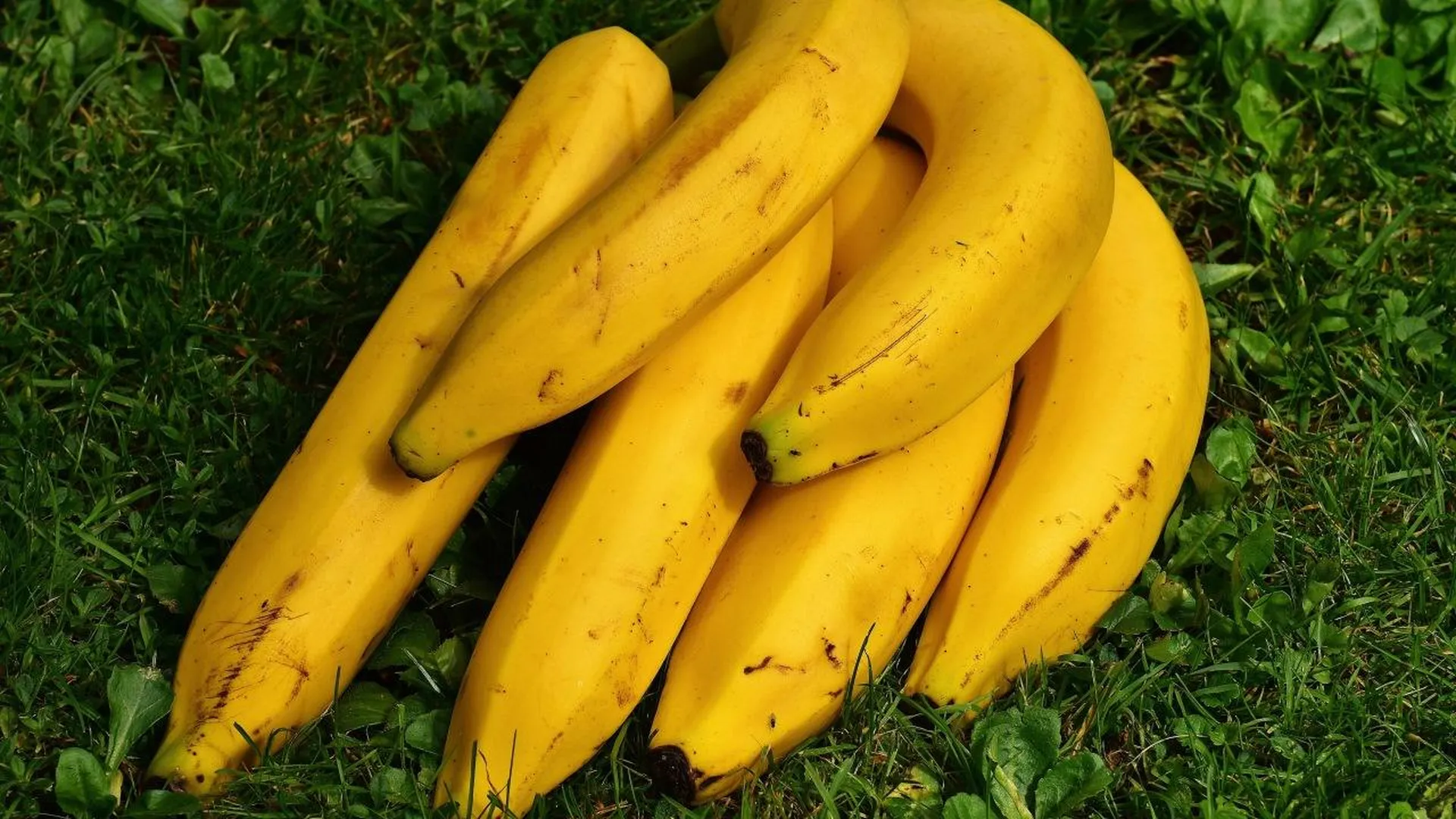 Бананам предсказали заметное подорожание в ближайшие годы