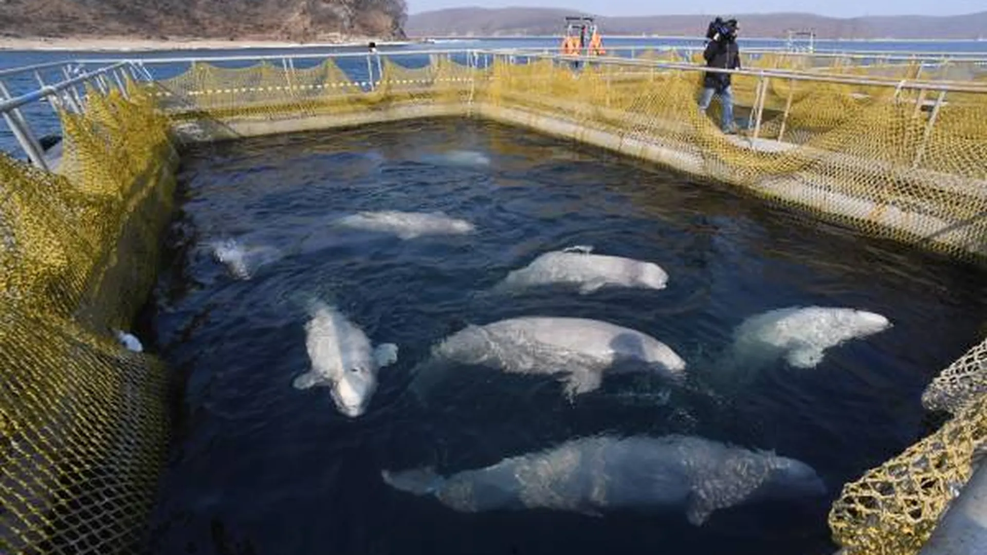«Китовую тюрьму» полностью закрыли в Приморье