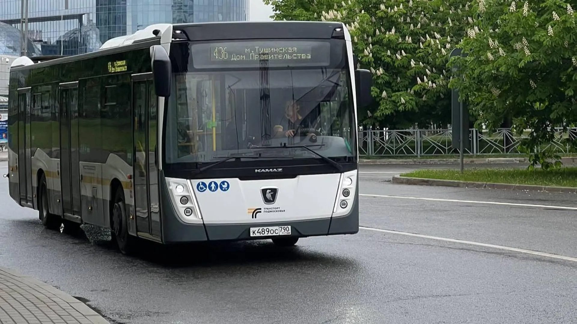 Девятьсот новых автобусов вышли на маршруты в Подмосковье с начала года