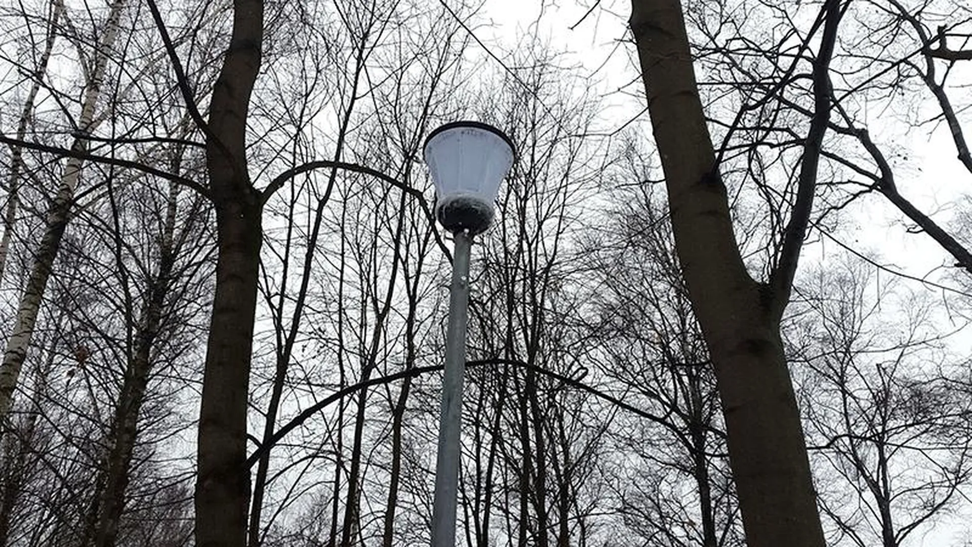 Отремонтированные скотчем фонари появились в парке Лобни