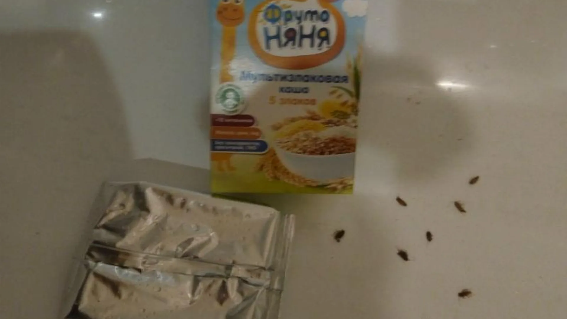 Десяток тараканов нашли в детском питании в Орехово-Зуеве