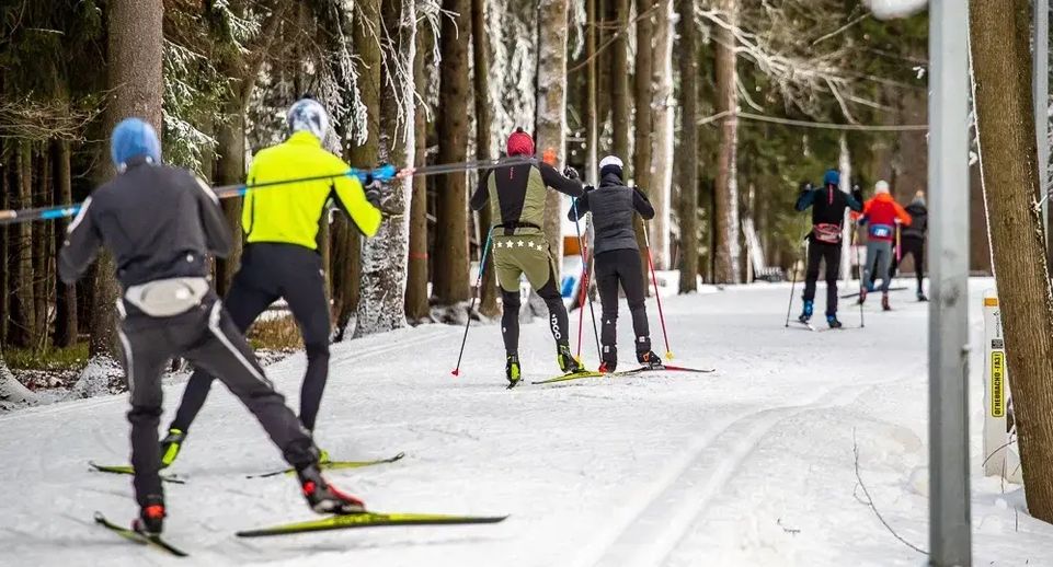 Министерство благоустройства Подмосковья назвало лучшие лыжные трассы региона