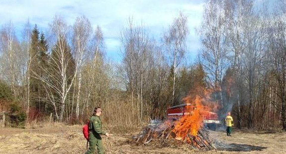 Учения по тушению лесного пожара прошли в Дмитровском городском округе