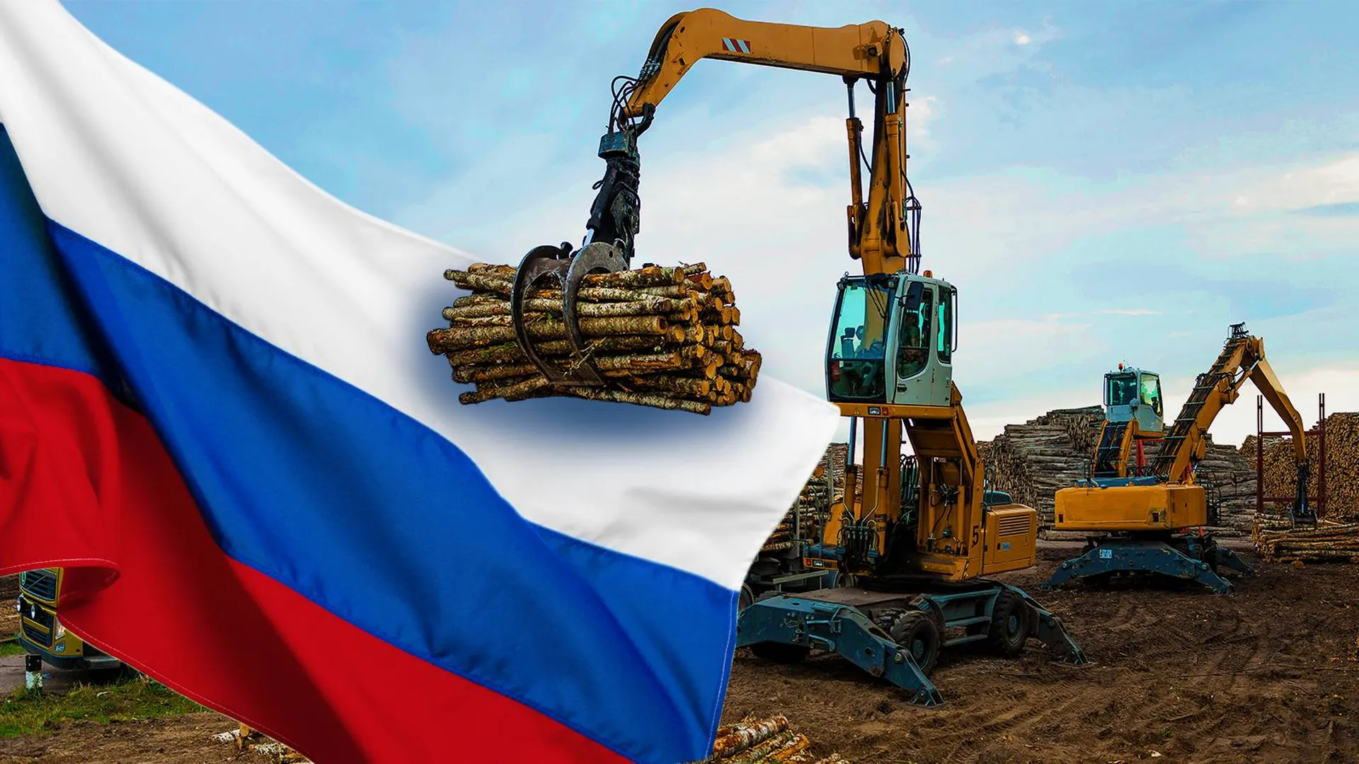 Лесозаготовщик с древесиной и флаг России
