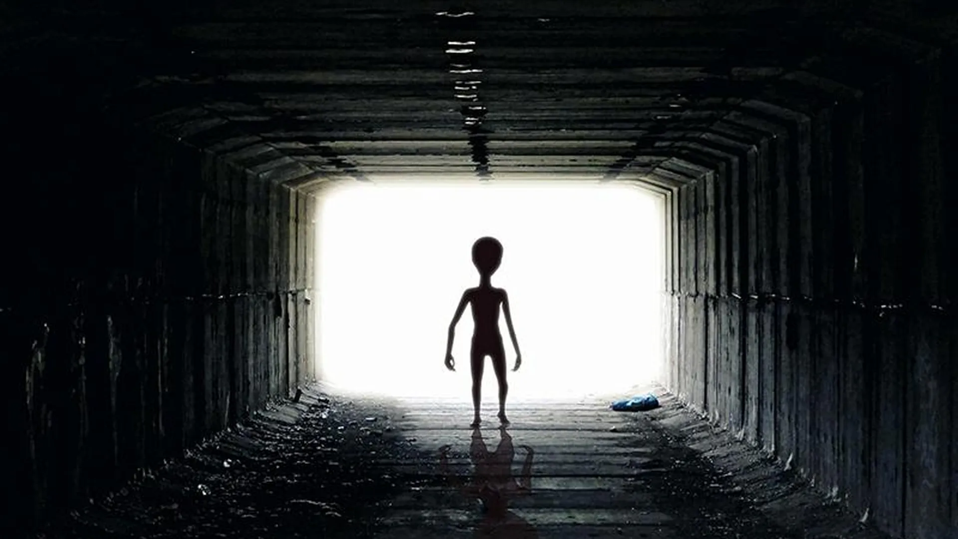 Во Всемирный день уфолога рассказываем, где в Подмосковье можно «увидеть» пришельцев
