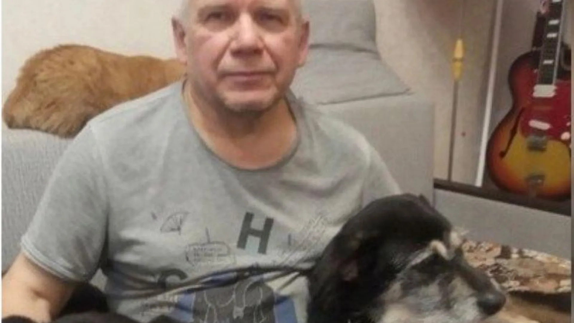 Бурматов предложил выделить грант жителю Серпухова на коляски для собак-инвалидов