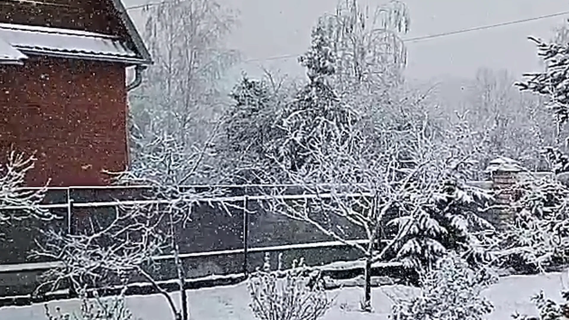 Снегопад обрушился на Новгородскую область